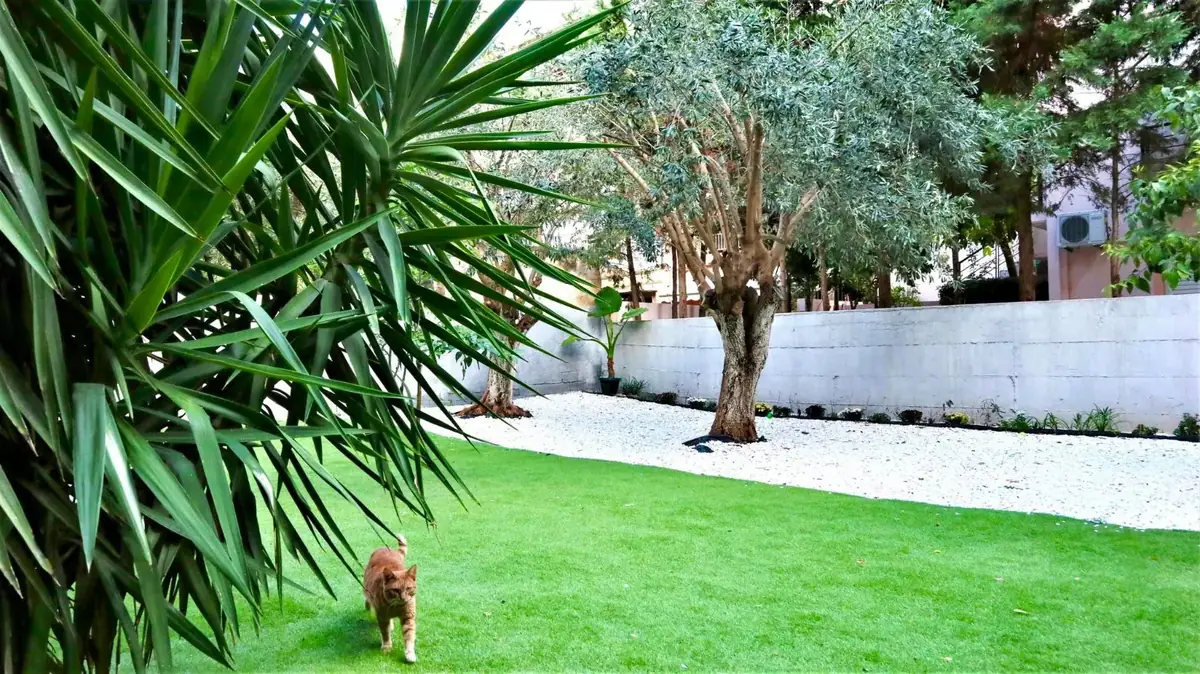 Apartment 58 m² in Athens - 2