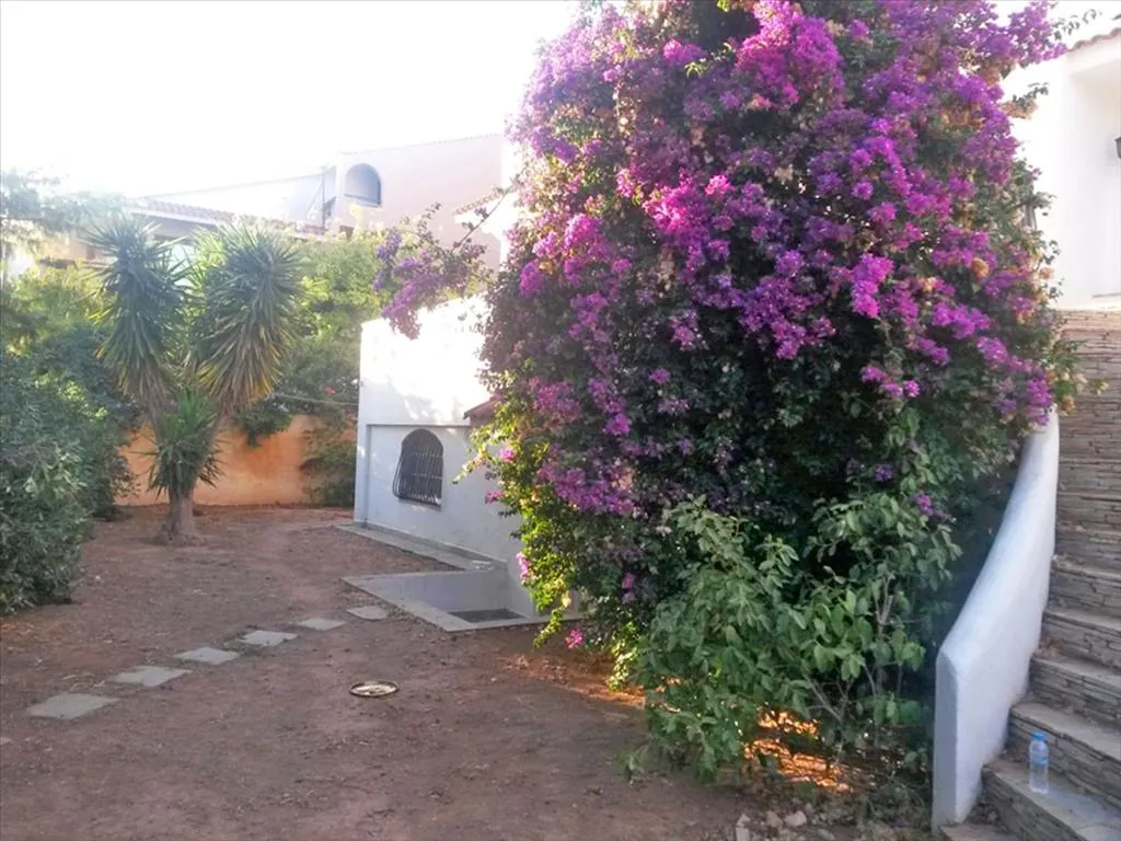Villa 485 m² in Athens - 3