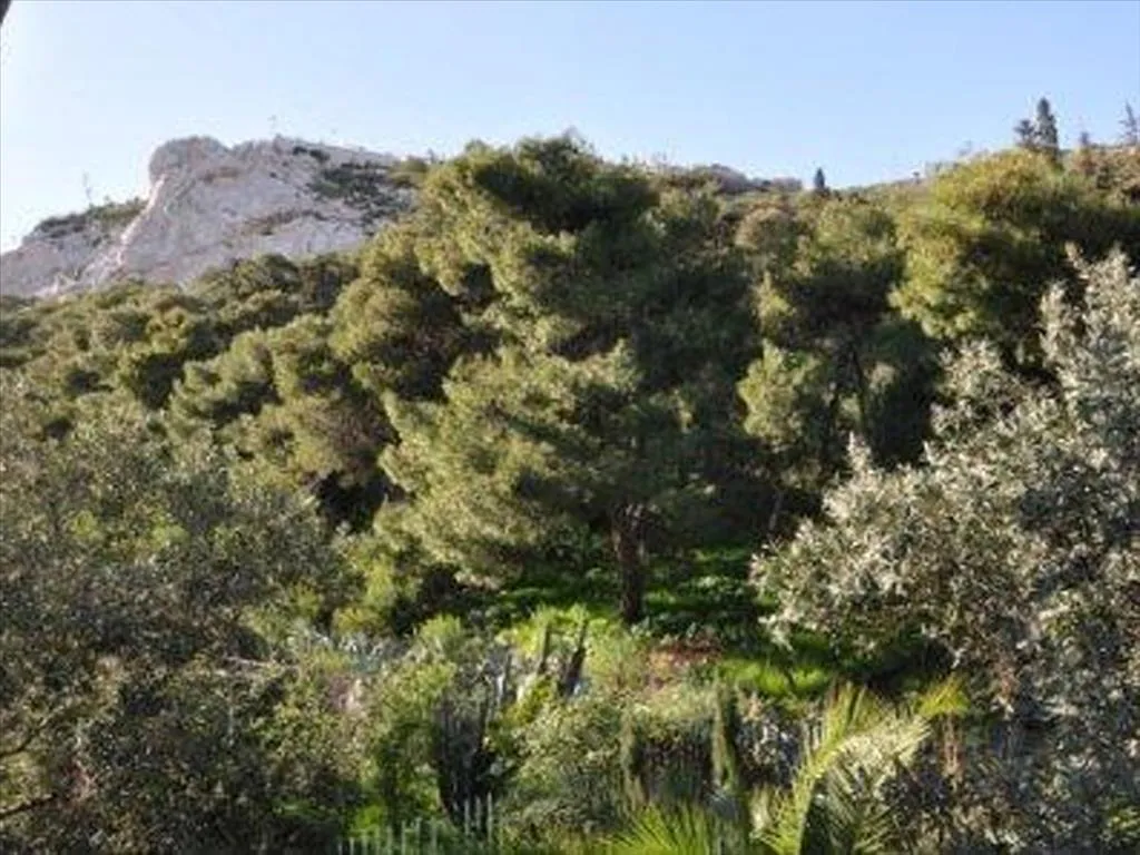 Villa 1381 m² in Athens - 5