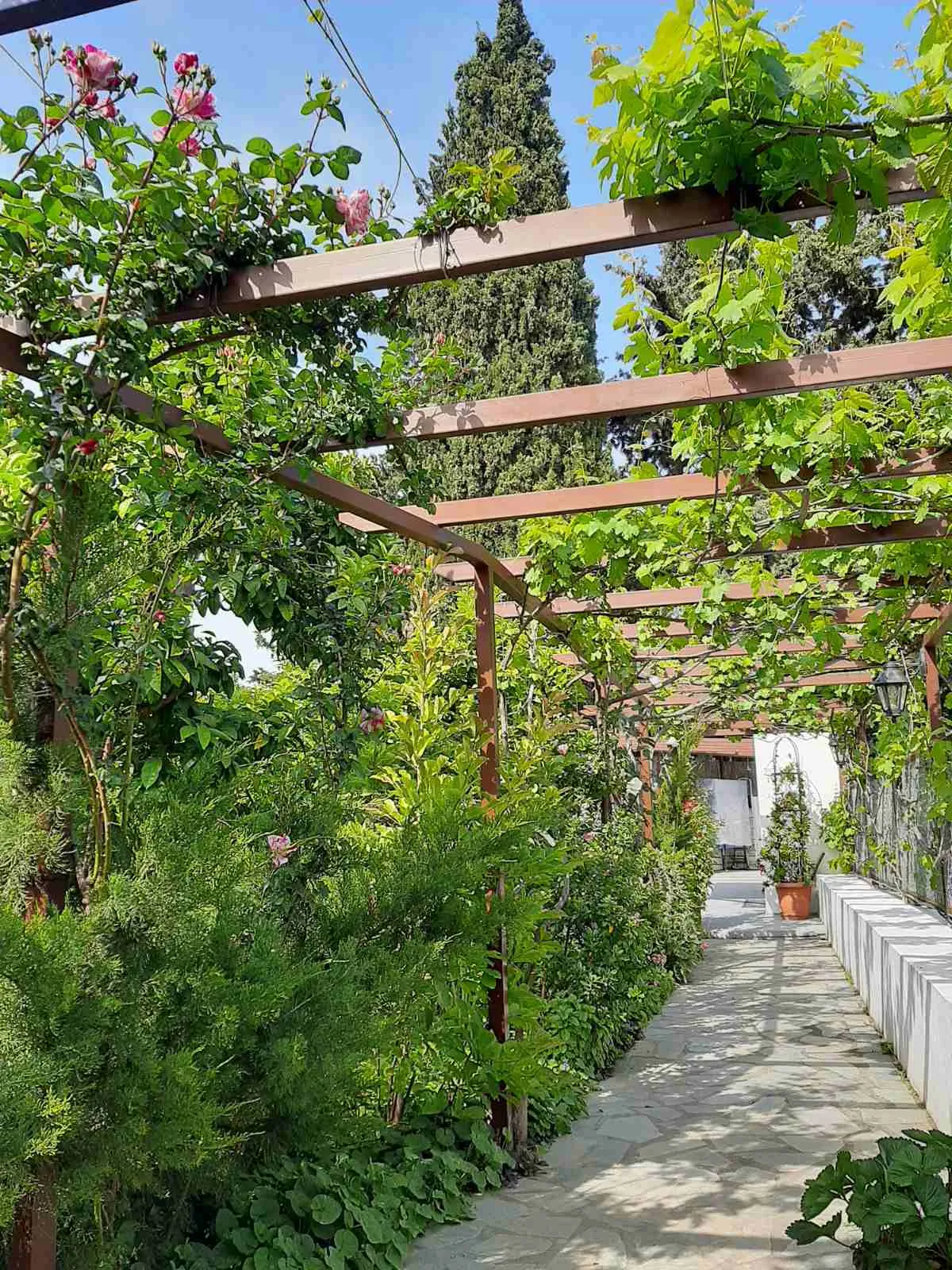 Villa 260 m² in Attica - 3