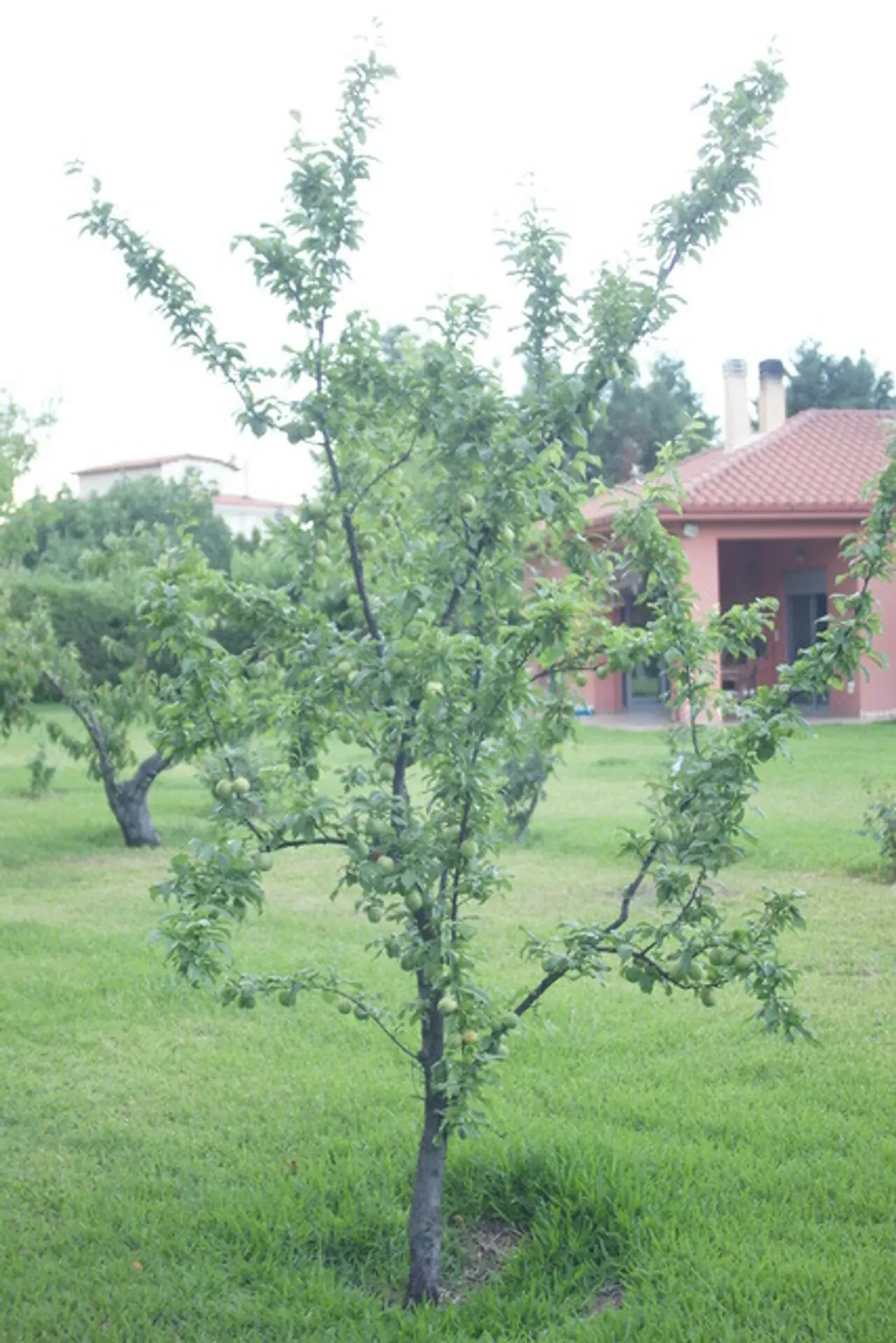 Villa 170 m² in Central Greece