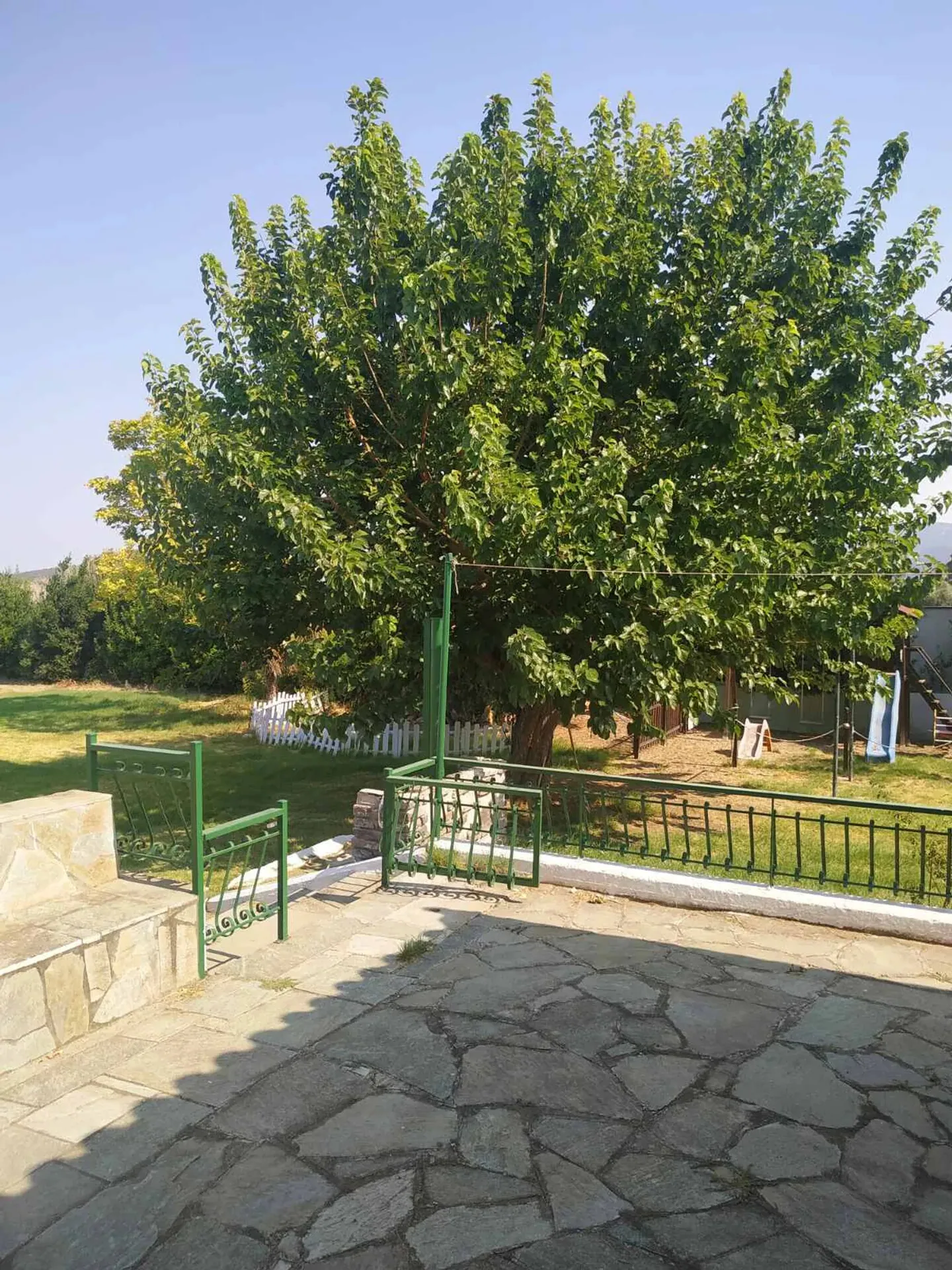 Villa 525 m² in Central Greece - 4