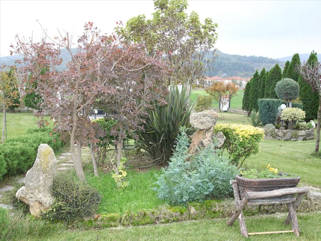 Villa 150 m² in Central Greece - 4
