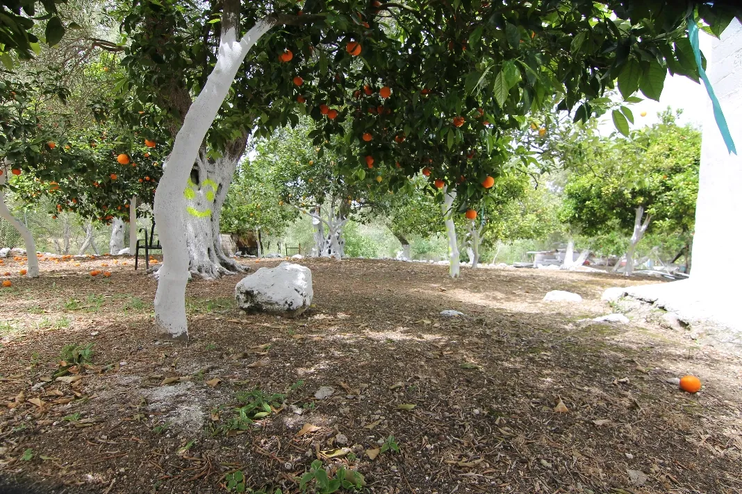 Villa 200 m² in Corfu - 4