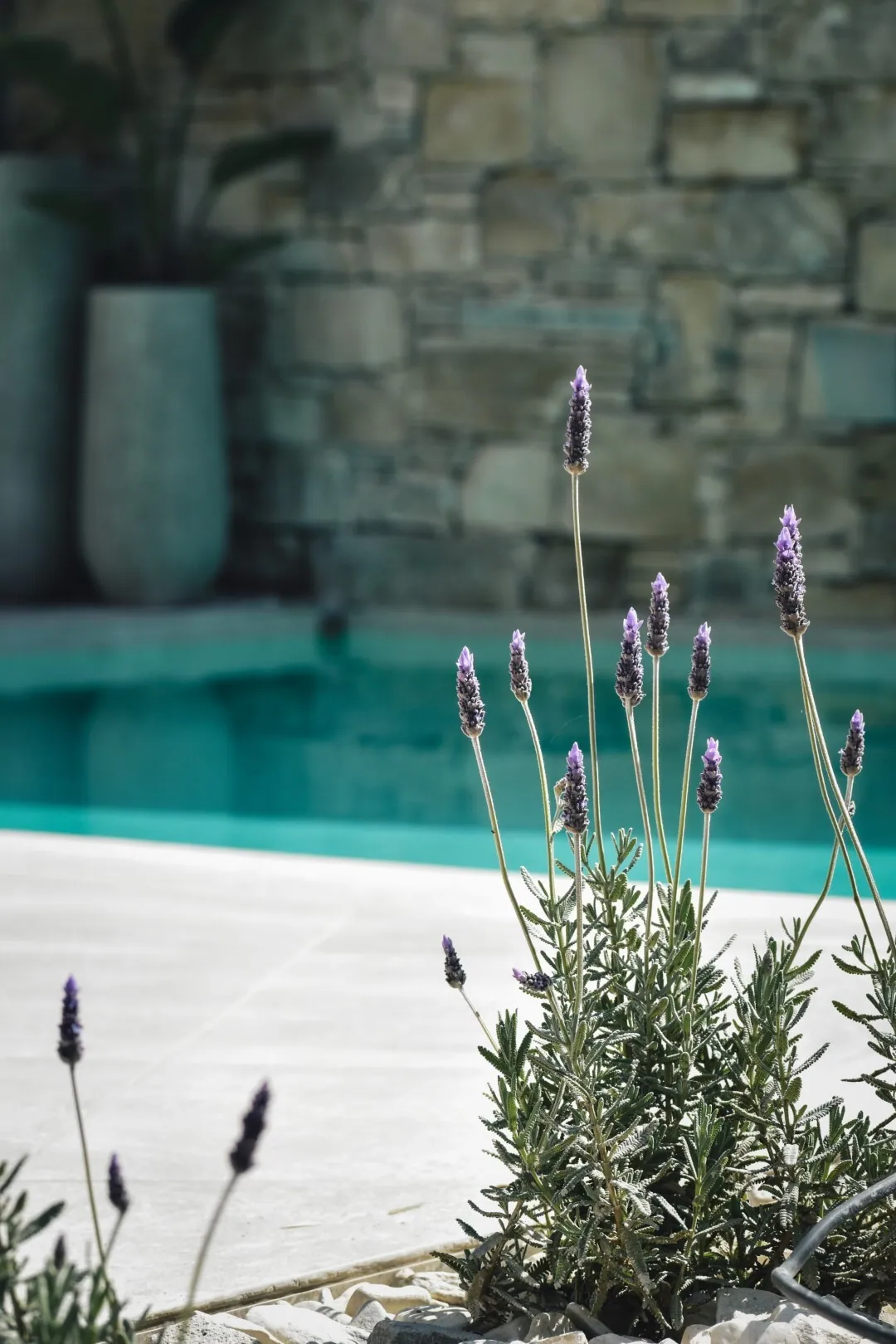 Villa 140 m² in Crete - 5