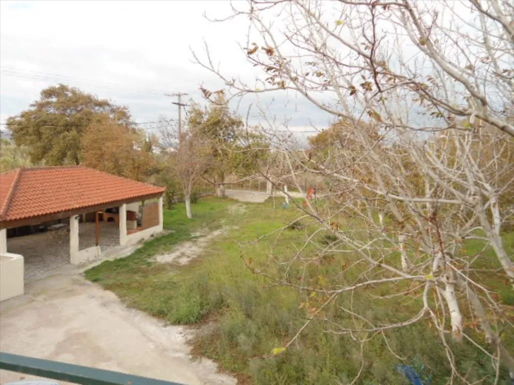 Apartment 80 m² in Evia - 5