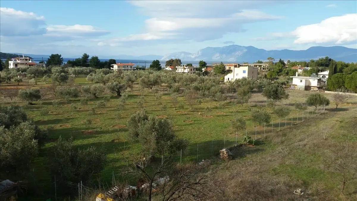 Villa 420 m² in Evia