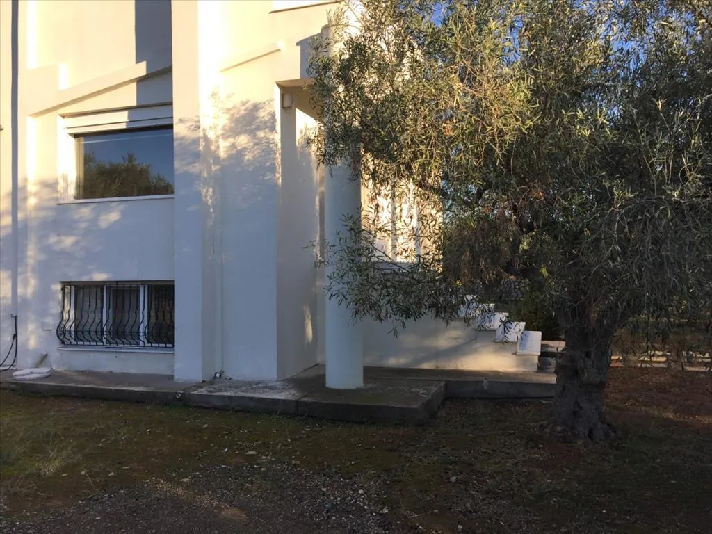 Villa 320 m² in Evia - 2