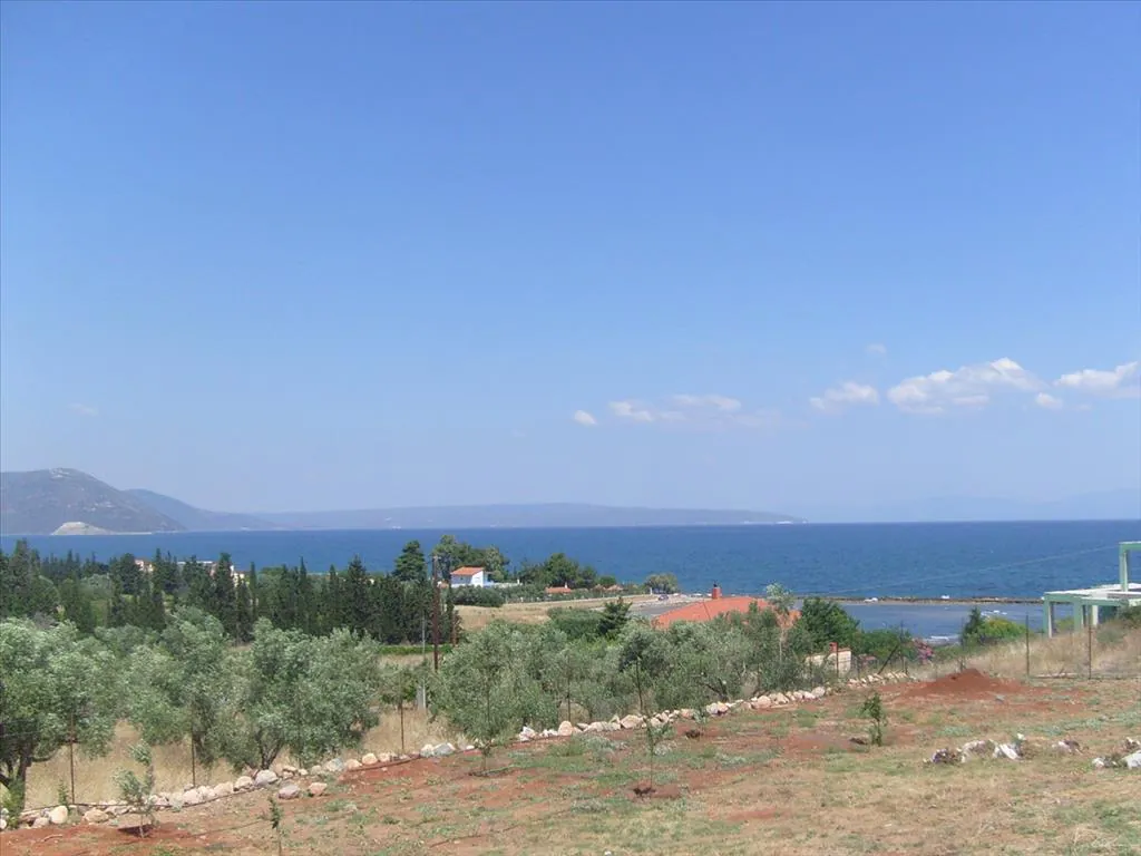 Villa 600 m² in Evia - 5