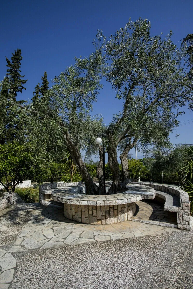 Villa 250 m² in Evia - 2