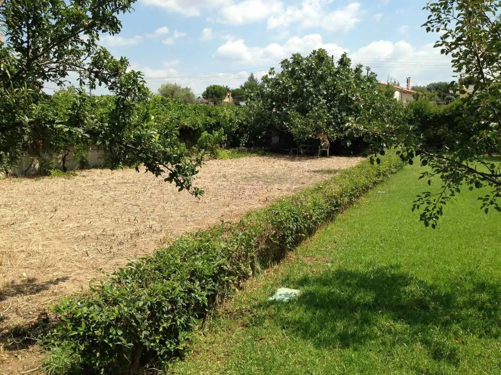 Villa 160 m² in Evia