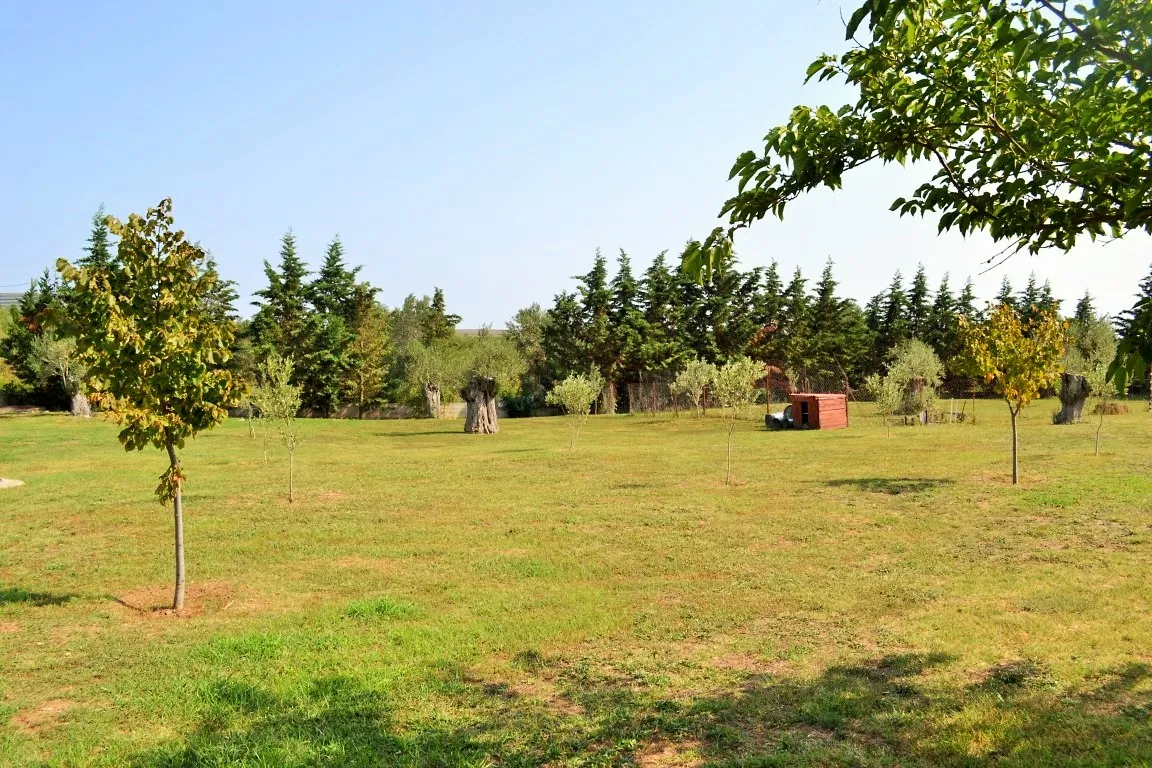 Villa 400 m² in Halkidiki - 3