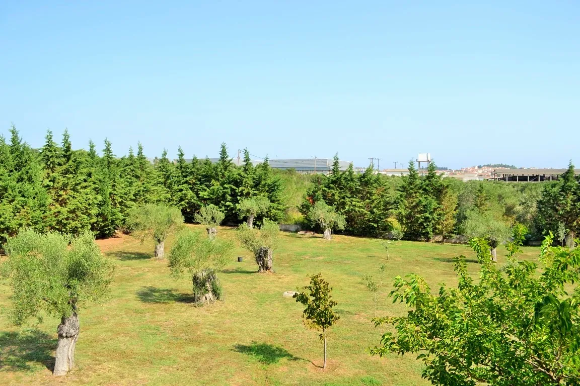 Villa 400 m² in Halkidiki - 5