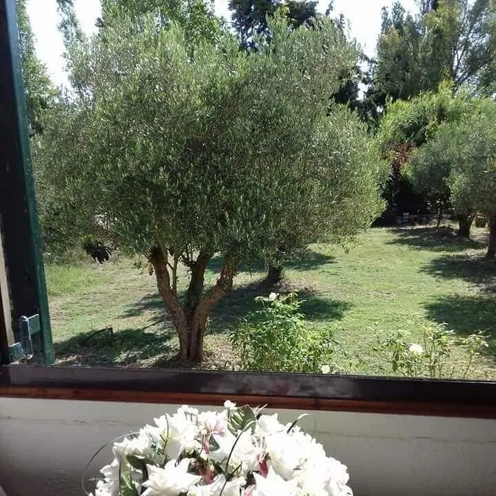 Villa 97 m² in Halkidiki - 4