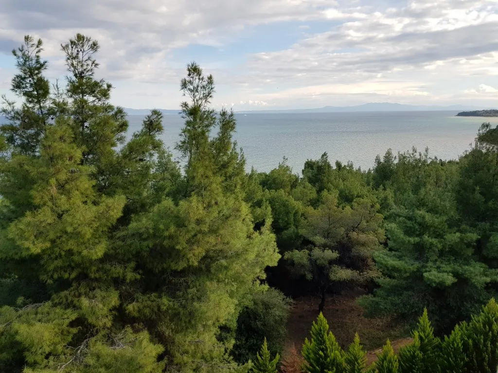 Villa 820 m² in Halkidiki - 4