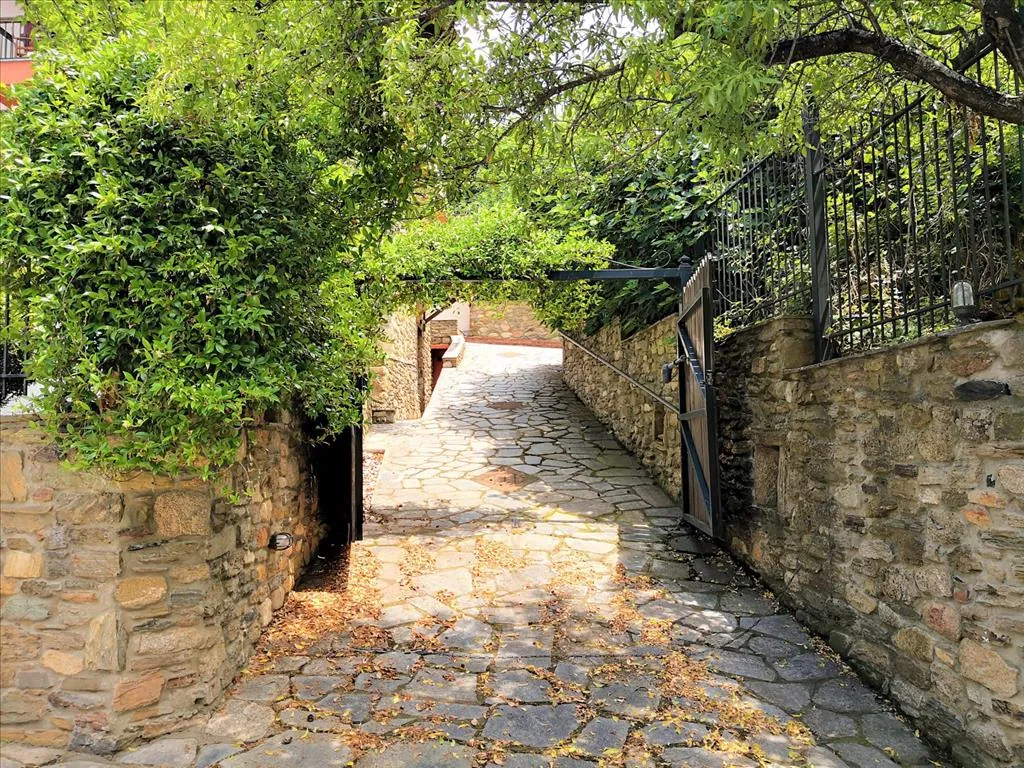 Villa 300 m² in Halkidiki - 4