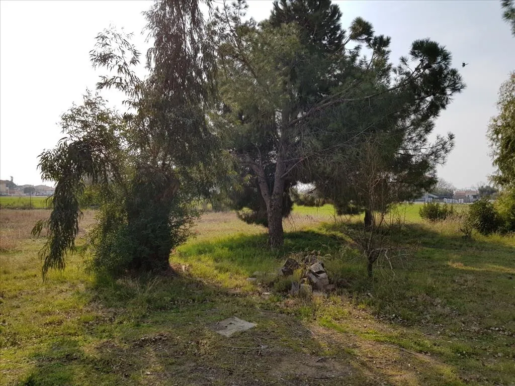 Villa 190 m² in Halkidiki - 5
