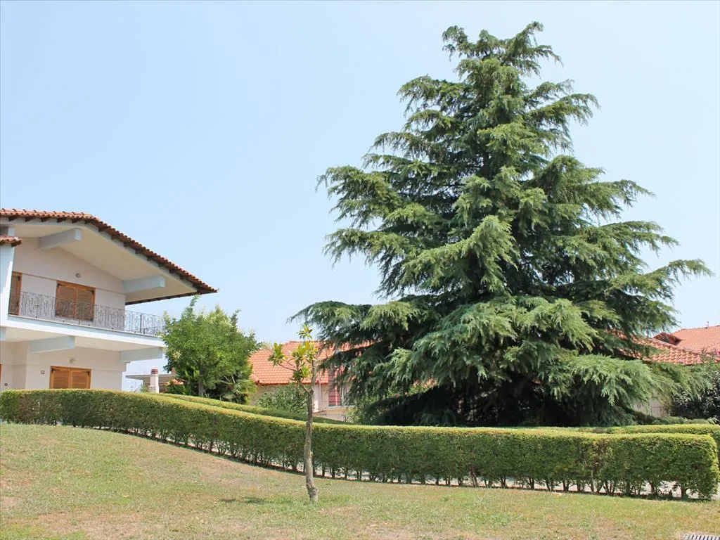 Villa 450 m² in Olympic Riviera - 5
