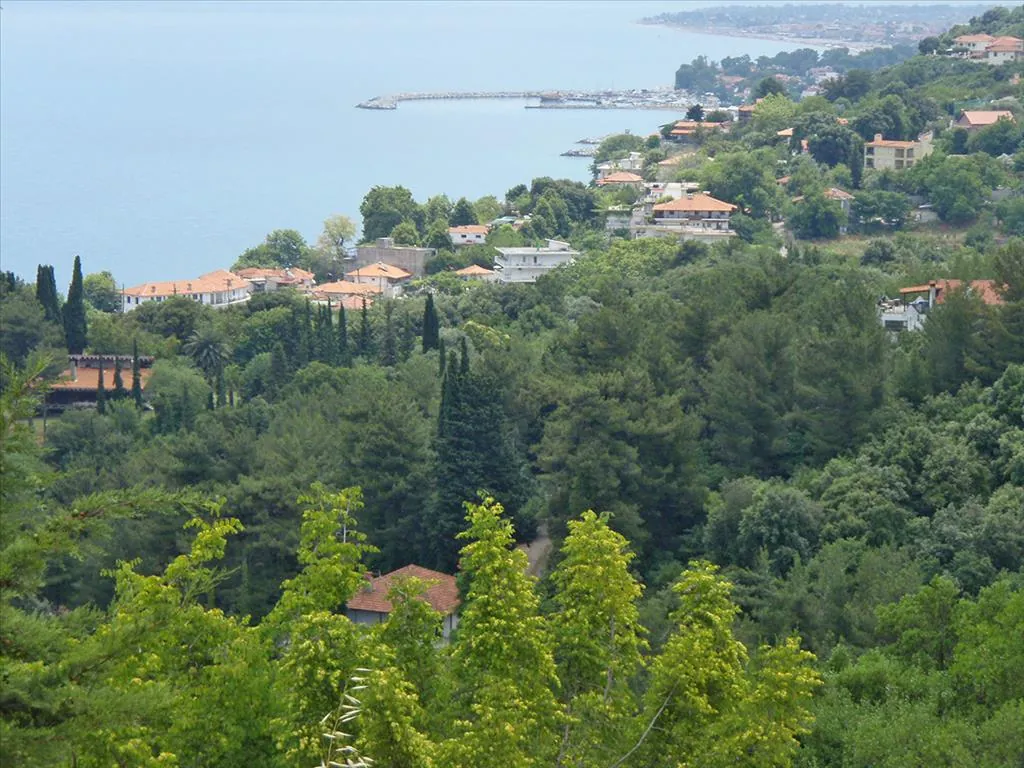 Villa 452 m² in Olympic Riviera - 2