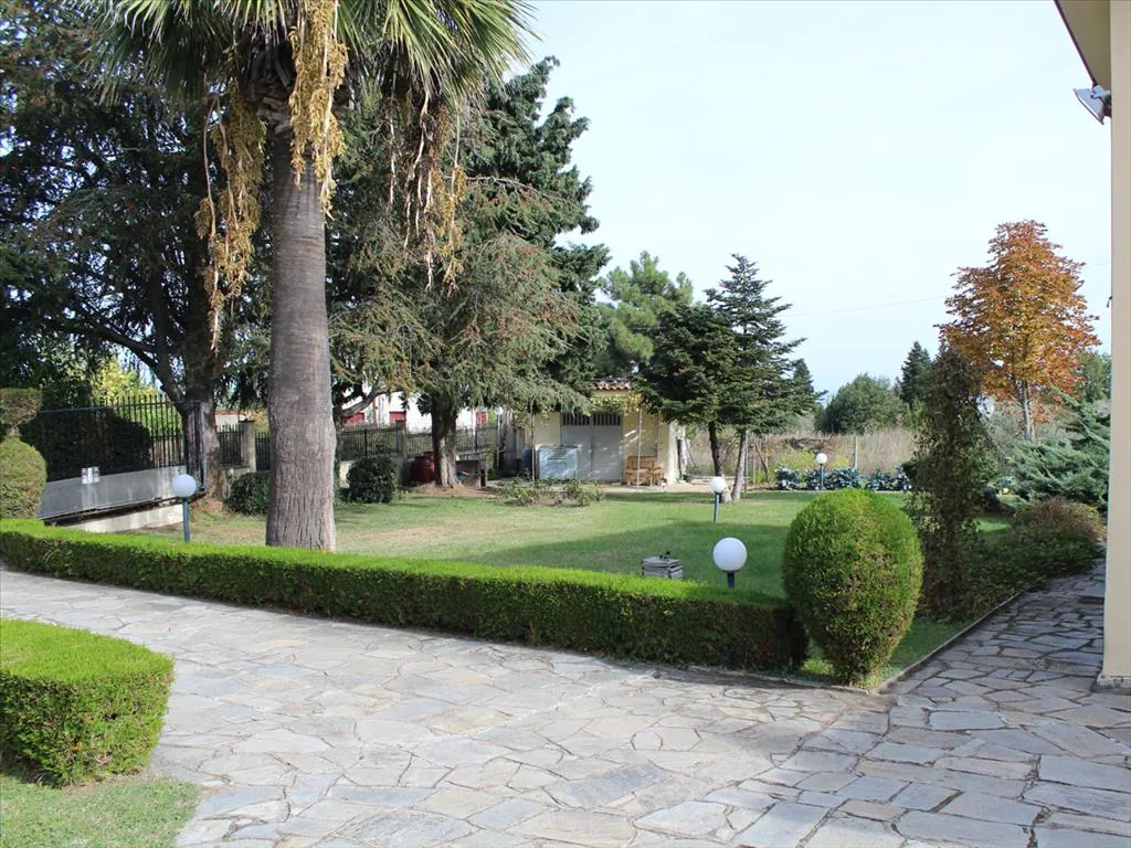 Villa 220 m² in Olympic Riviera - 3