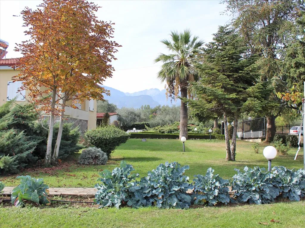 Villa 220 m² in Olympic Riviera - 4