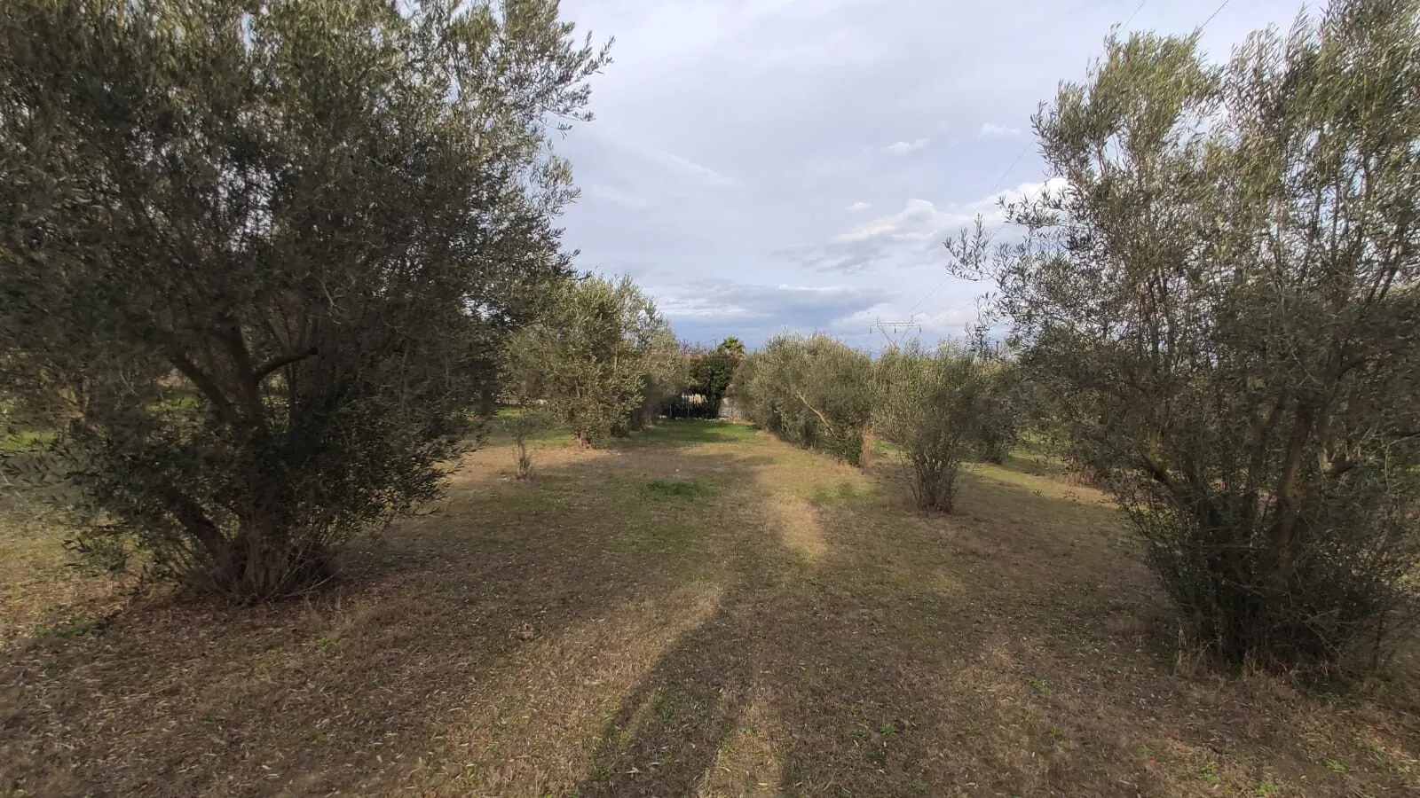 Villa 156 m² in Olympic Riviera - 11