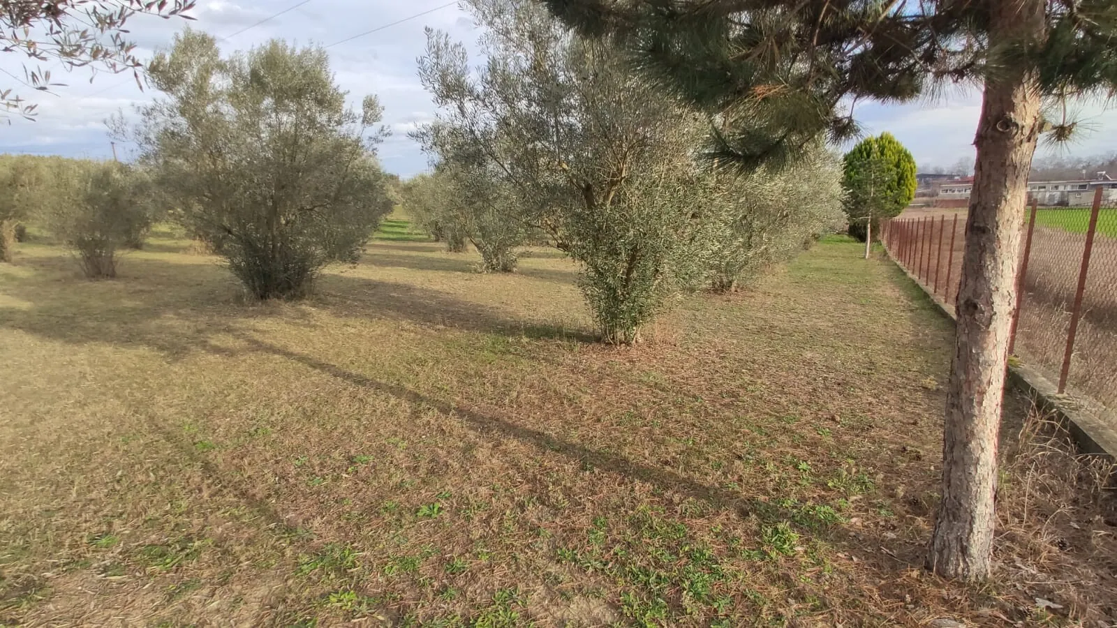 Villa 156 m² in Olympic Riviera - 7