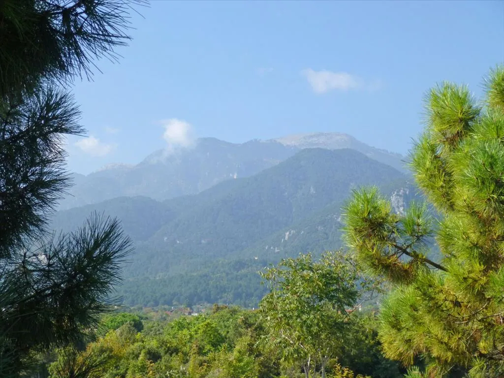 Villa 280 m² in Olympic Riviera