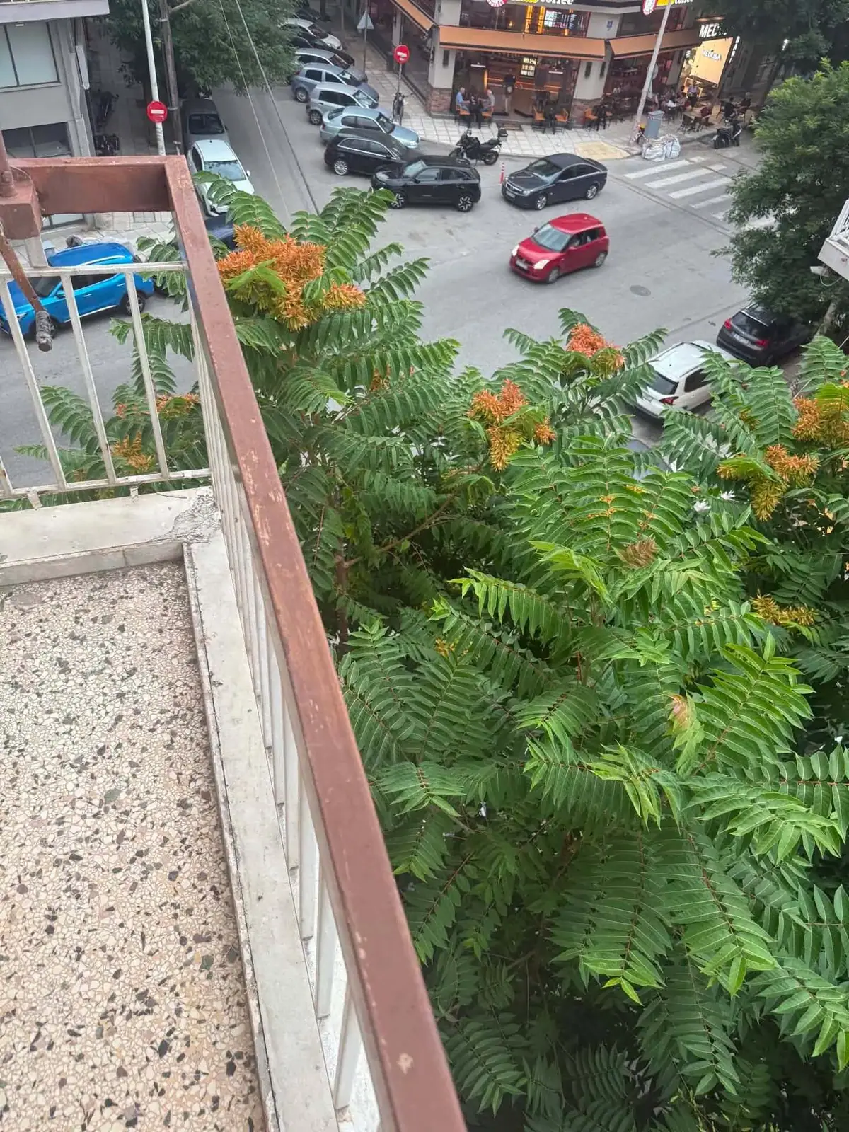 Apartment 106 m² in Thessaloniki - 5