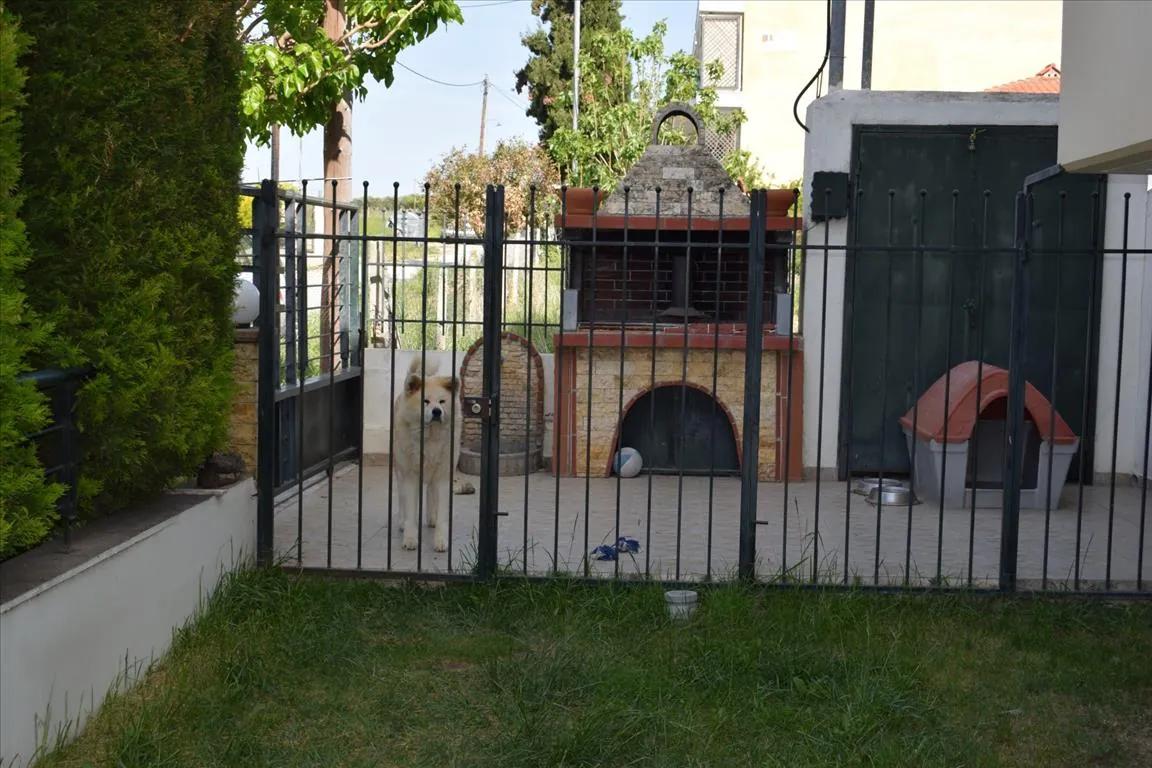 Villa 180 m² in Thessaloniki suburbs - 4