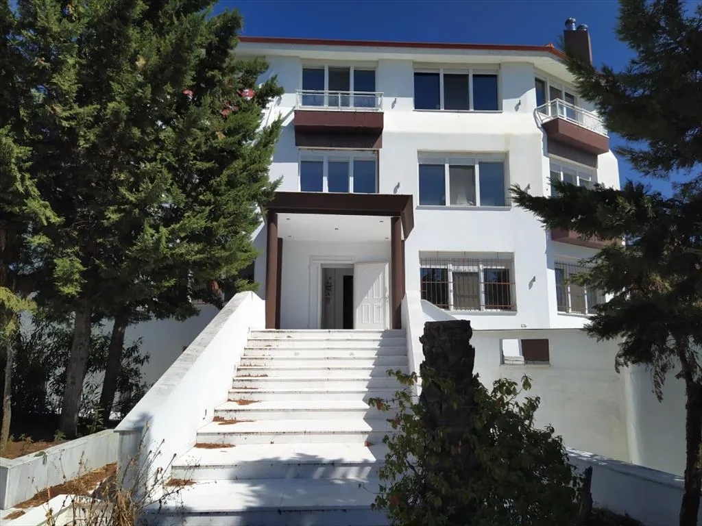 Villa 1100 m² in Thessaloniki suburbs - 2