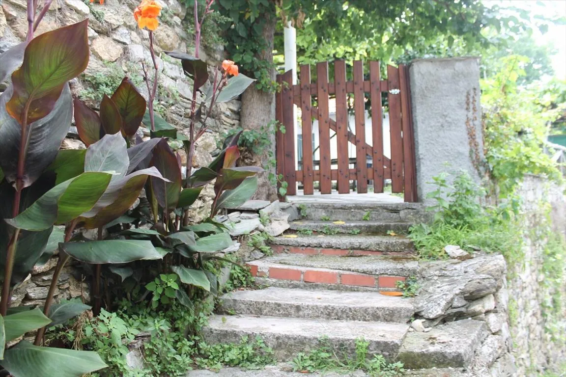 Villa 280 m² in Volos - 6
