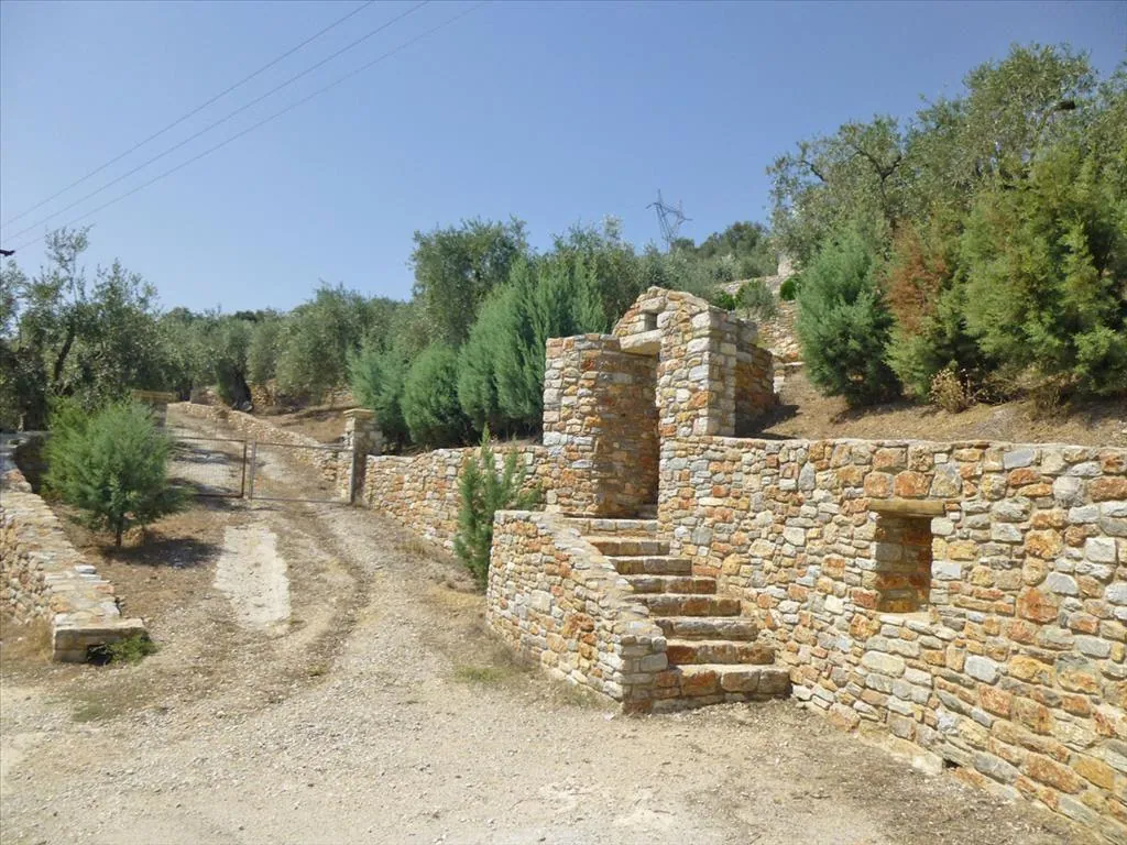 Villa 270 m² in Volos - 4