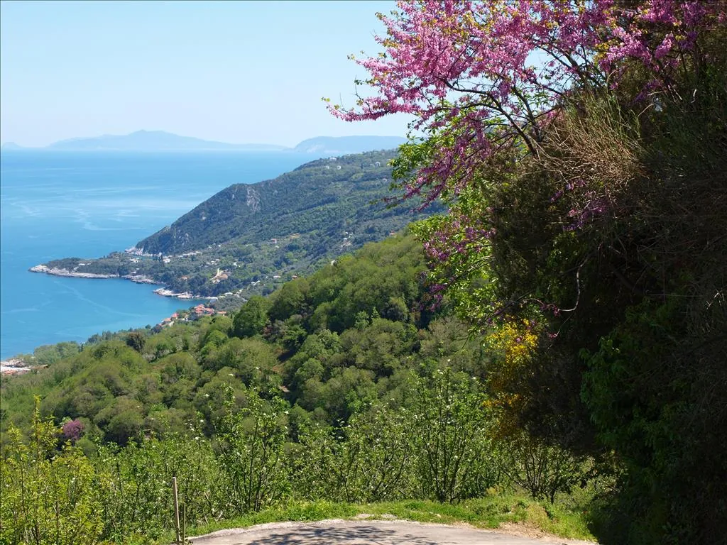 Villa 383 m² in Volos - 2