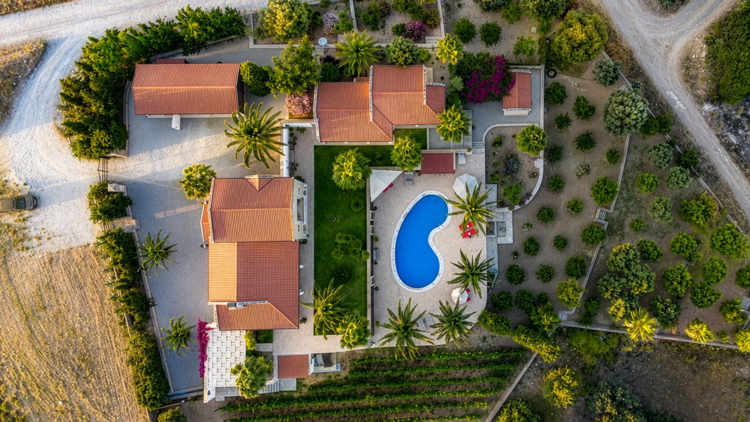 Vineyard estate in Datça - 3