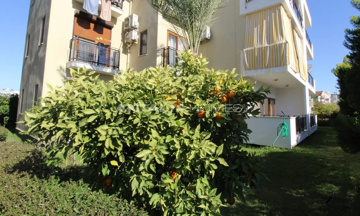 Apartment in Belek - 4