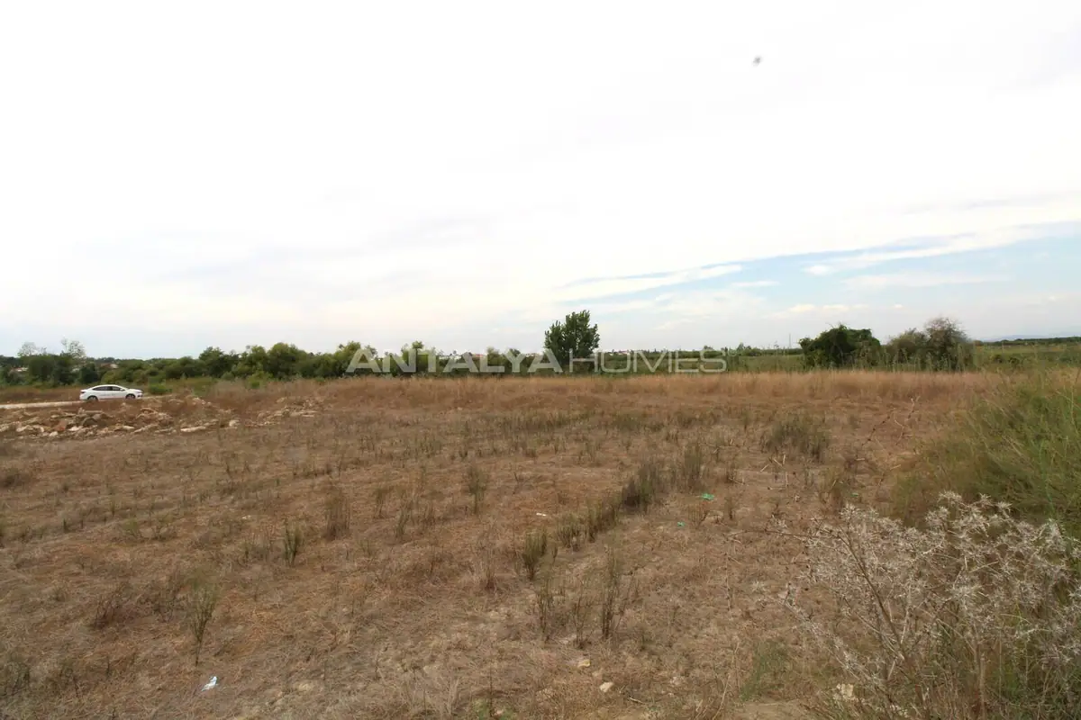 Участок в Белеке - 4