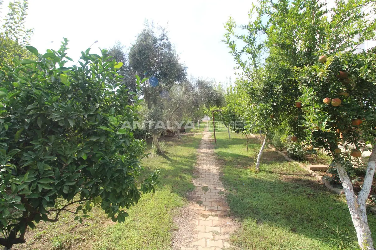 Villa in Belek - 6