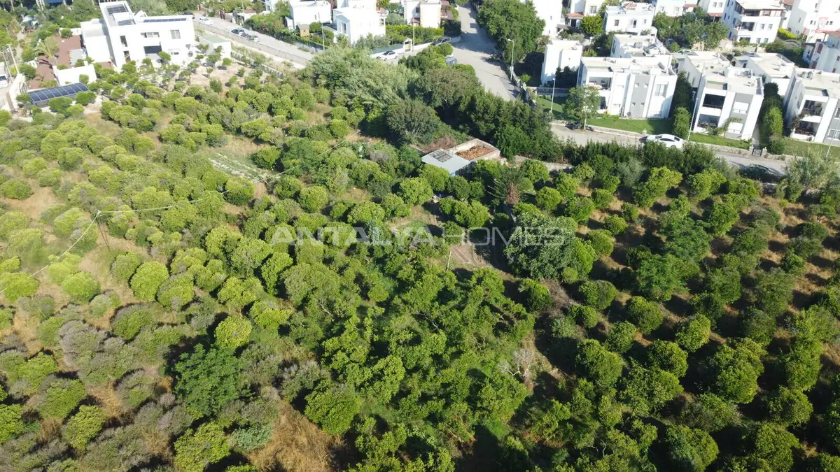 Land plot in Bodrum - 5