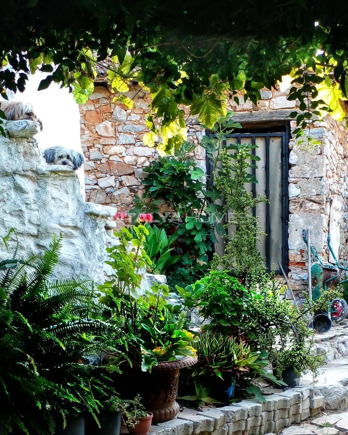 Apartment in Bodrum