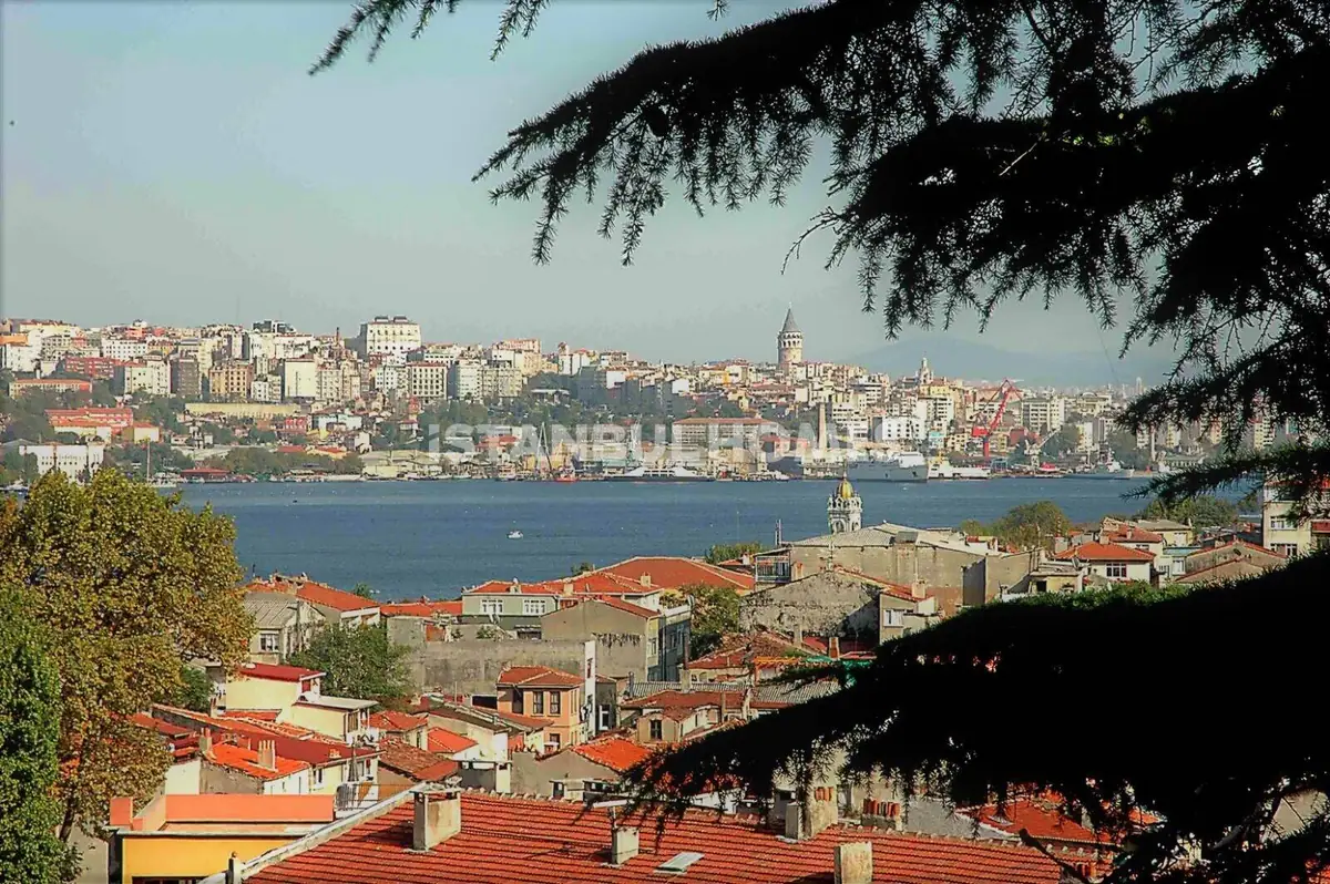 Villa in Istanbul - 4