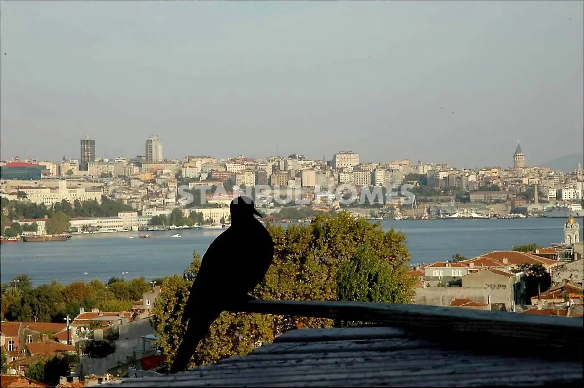 Villa in Istanbul - 5